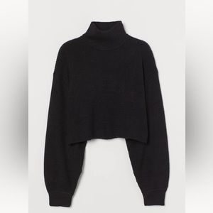 H&M knit turtleneck sweater